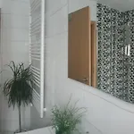 Mistel * بودينسدورف