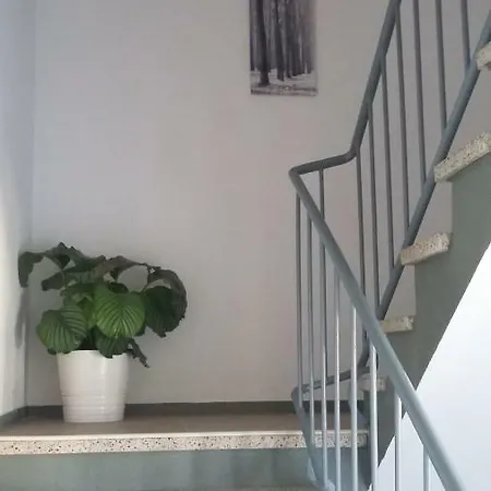 Mistel