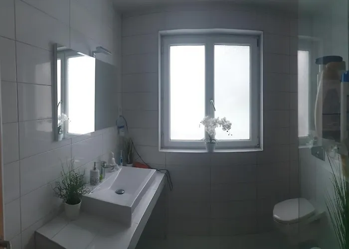 Mistel * בודנסדורף